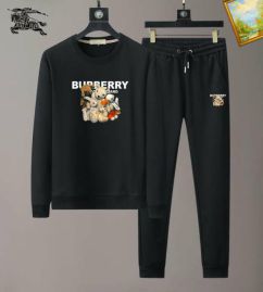 Picture of Burberry SweatSuits _SKUBurberryM-3XL25tn10627399